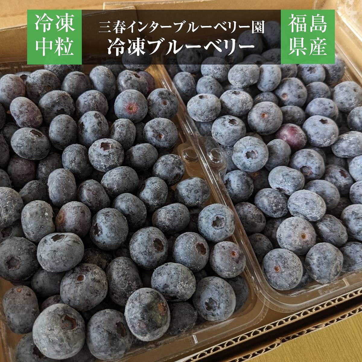 ブルーベリー 【三春インターブルーベリー園】 冷凍ブルーベリー 中粒以上 1kg 国産 福島県 三春町 冷凍 フルーツ 果物《7/中旬より出荷》