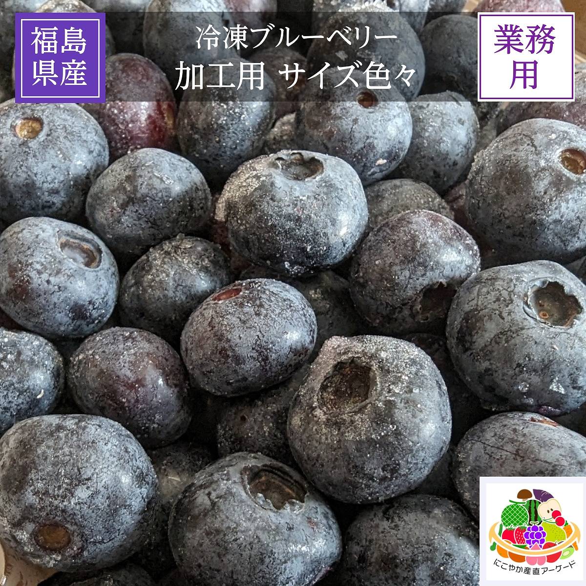 冷凍ブルーベリー 加工用 業務用 4.5kg(1.5kg×3袋) 国産 福島県 冷凍 フルーツ 果物《7/中旬より出荷》