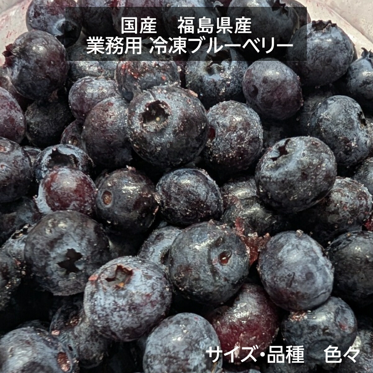 国産 冷凍ブルーベリー 加工用 業務用 農薬不使用 6.4kg 福島県 冷凍 フルーツ 果物 ブルーベリー