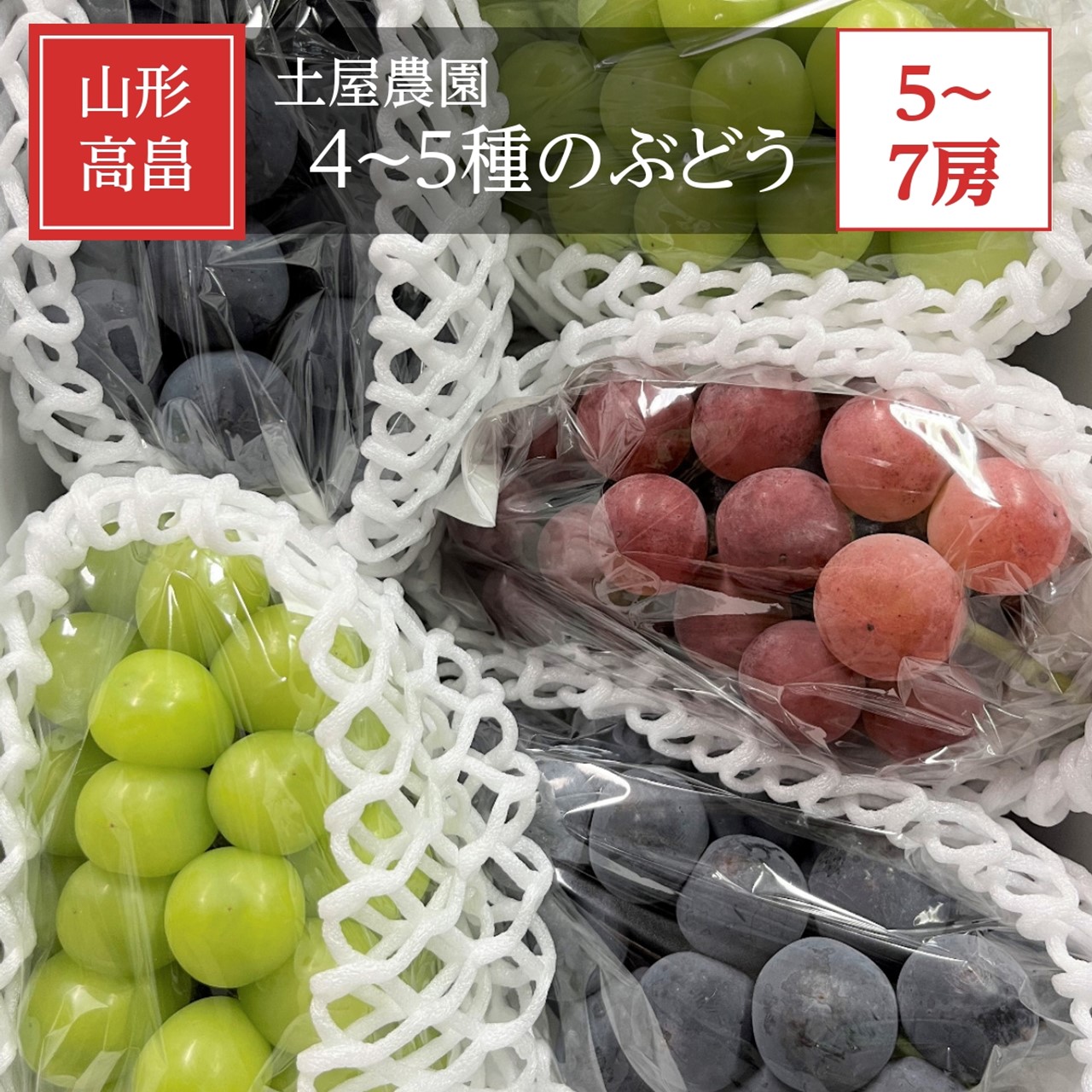ぶどう 【土屋農園】 葡萄 詰め合わせ 約3.8kg 5～7房 シャインマスカット入り 4～5種類 贈答用 山形県 高畠 《9/中旬～9/下旬より出荷》 フルーツ 果物
