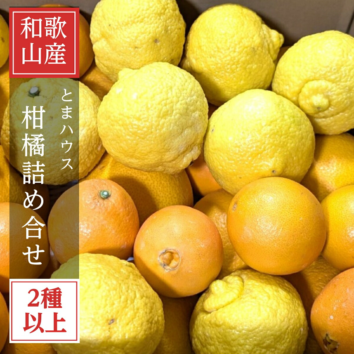 柑橘 【とまハウス】 有田地区 柑橘2種以上 家庭用 8キロ 和歌山県 《2026.2/上旬～2/中旬より出荷》