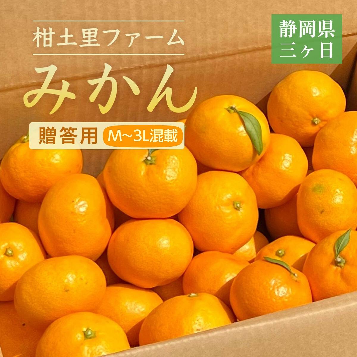 楽天市場】みかん 【柑土里ファーム】 三ヶ日みかん 8kg S~L混載(SM