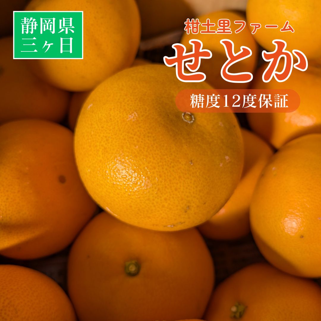 柑橘 【柑土里ファーム】 せとか 3.5kg センサー 糖度12度 静岡県三ケ日《3/上旬～3/中旬より出荷》