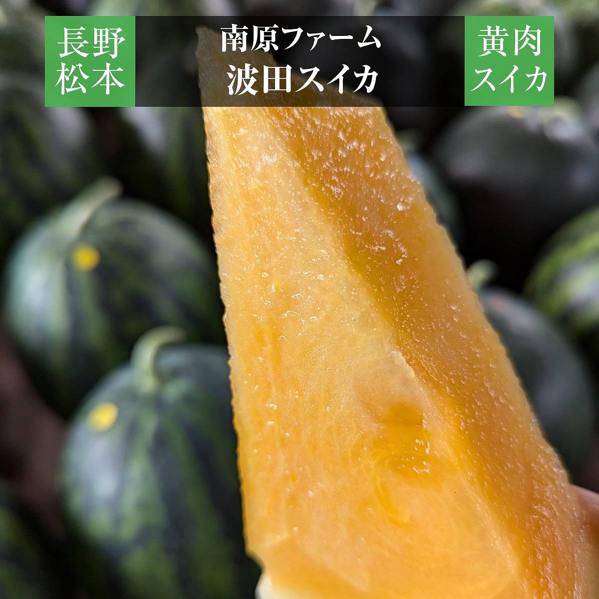 スイカ 【南原ファーム】 高級 波田スイカ 黄肉スイカ 2L～3L 7～9kg 長野県松本市 御中元 《7/中旬より出荷》