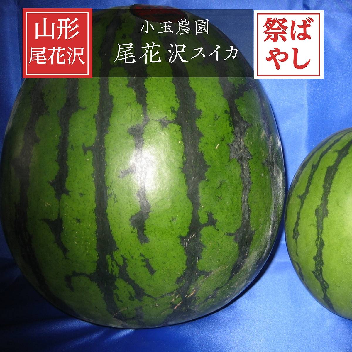 すいか 【小玉農園】 尾花沢スイカ 大玉 1個 3L~4L 8～10kg 祭ばやし 山形県 御中元 《7/中旬～7/下旬より出荷》
