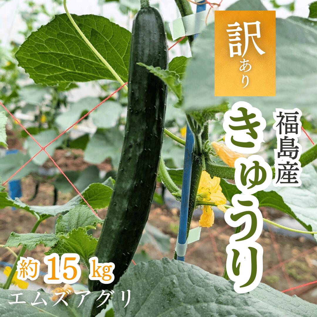 ツヨシ　加賀野菜　くわい4kg箱　Ｍサイズ秀品 ツヨシ様専用 加賀野菜 くわい4kg箱 Mサイズ秀品