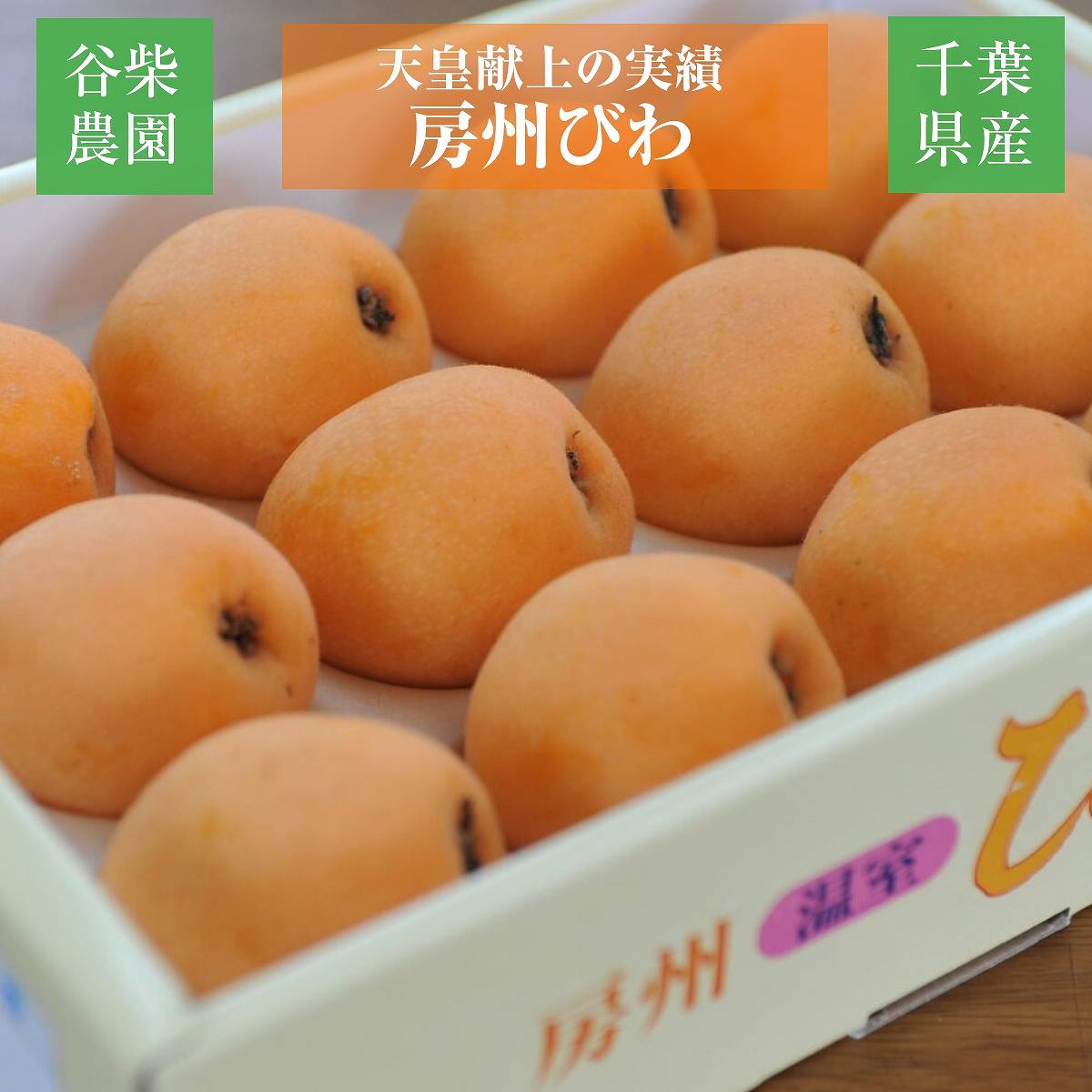 びわ 【谷柴農園】 房州びわ 特大 3L 12個 1.1kg 贈答用 枇杷 千葉県南房総市 天皇献上の実績 母の日  父の日 《4/下旬～5/上旬より出荷》