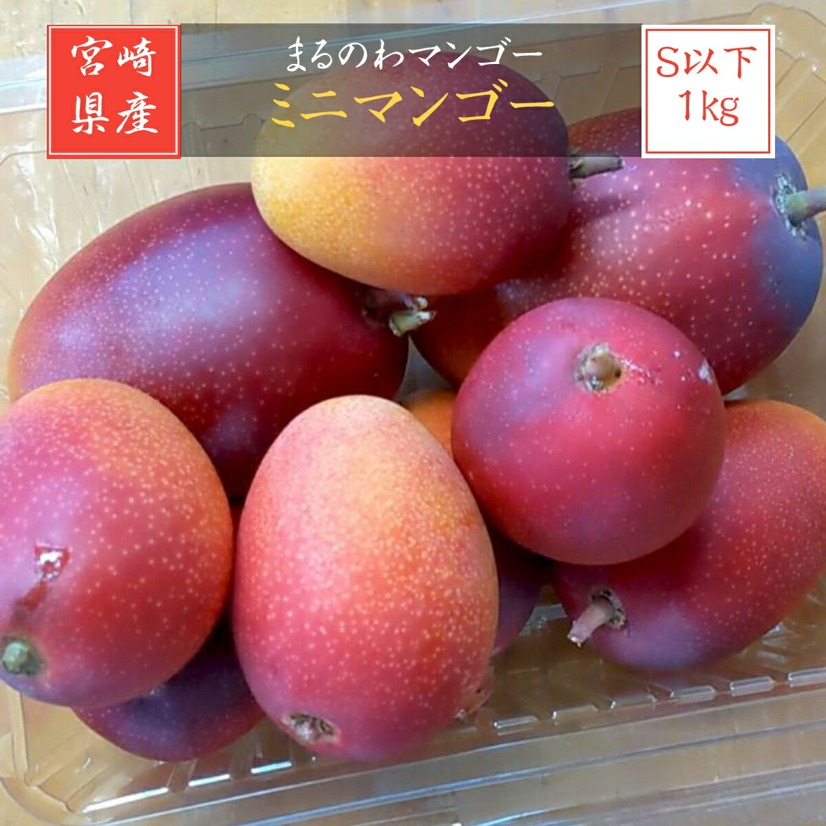 マンゴー 【まるのわマンゴー】 完熟 小さい ミニマンゴー 1kg 宮崎県宮崎市 《4/下～5/上の出荷》