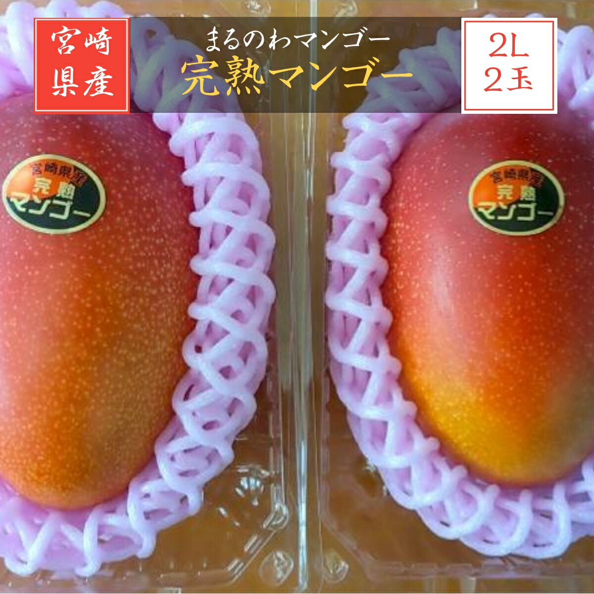 マンゴー 【まるのわマンゴー】 完熟マンゴー 2L 2個 宮崎県宮崎市《5/上～5/中の出荷》