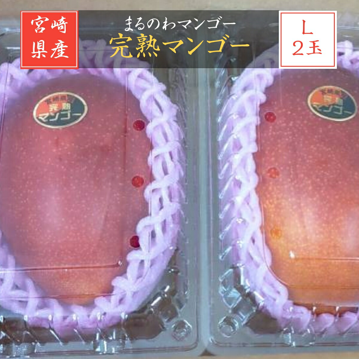 マンゴー 【まるのわマンゴー】 完熟マンゴー L 2個 宮崎県宮崎市 《5/上～5/中の出荷》