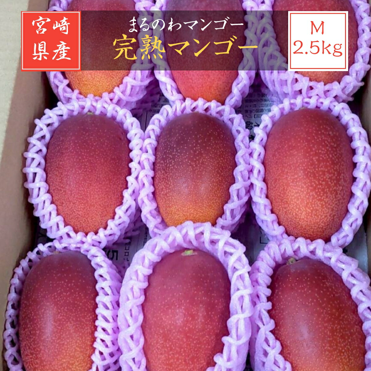 マンゴー 【まるのわマンゴー】 完熟マンゴー M 2.5kg 9個 宮崎県宮崎市 《5/上～5/中の出荷》