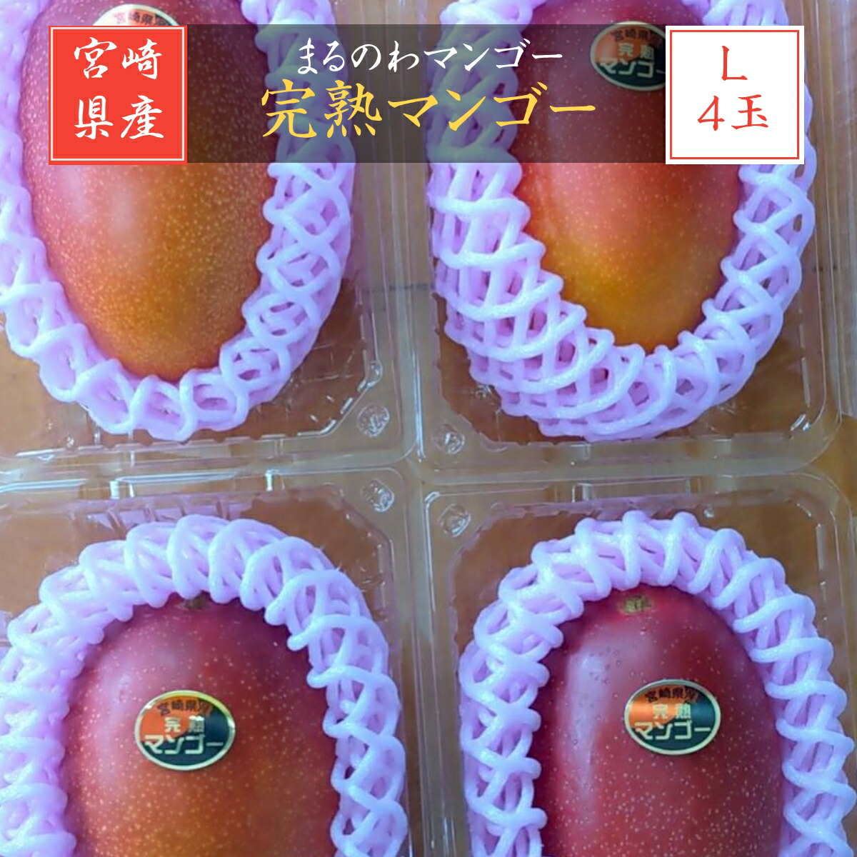 マンゴー 【まるのわマンゴー】 完熟マンゴー L 4個 宮崎県宮崎市 《5/上～5/中の出荷》