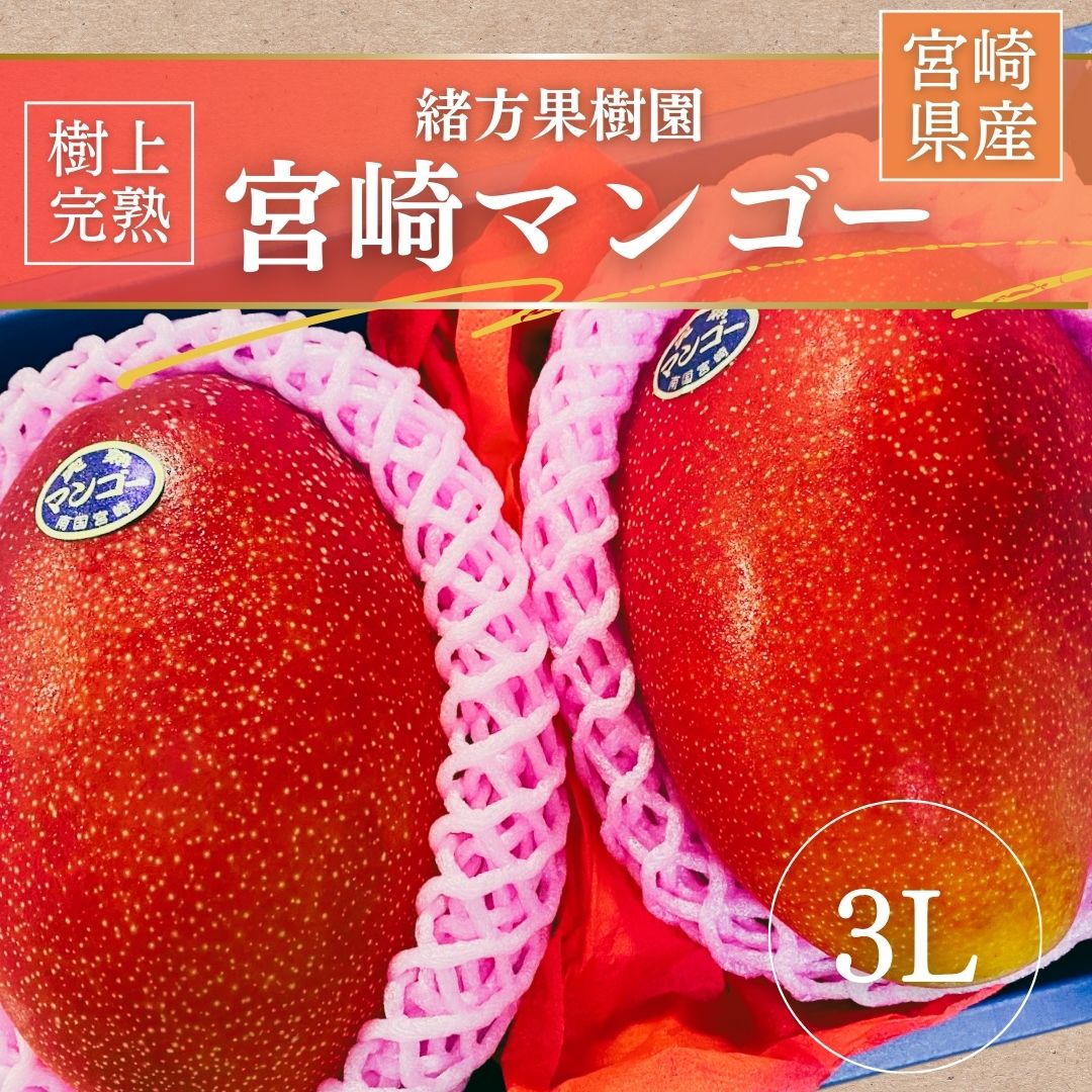 マンゴー 【緒方果樹園】 完熟マンゴー 3L 2個 900g 贈答用 宮崎県宮崎市 《5/上～5/中より出荷》