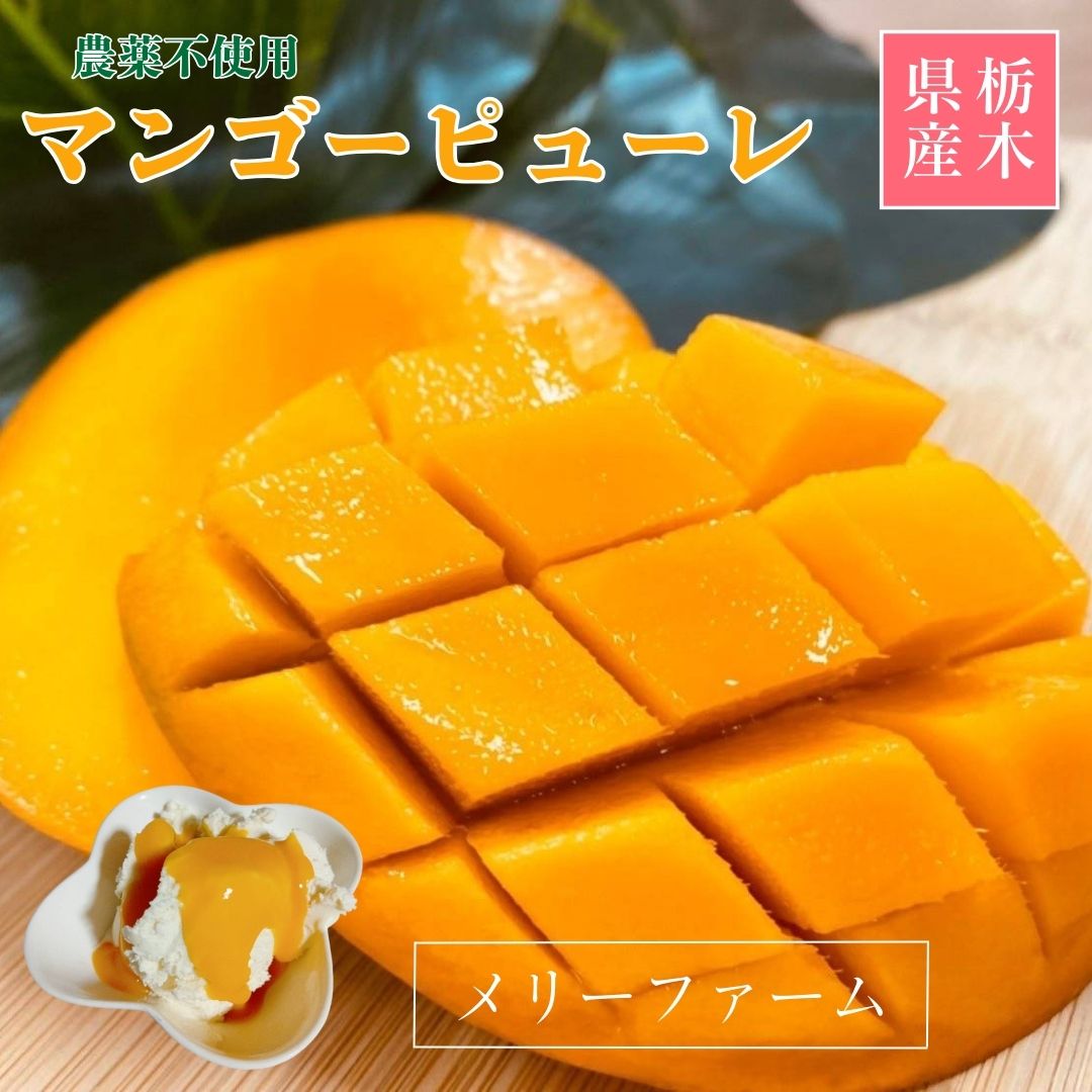 冷凍マンゴー 【メリーファーム】 マンゴーピューレ 冷凍 500g 農薬不使用 化学肥料不使用 栃木県栃木市