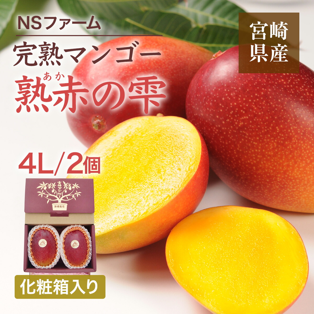 マンゴー 【NSファーム】 完熟マンゴー 糖度15度 ブランドマンゴー 熟赤の雫 4L 2個 960g 贈答用 御中元 宮崎県宮崎市《6/中旬～6/下旬より出荷》