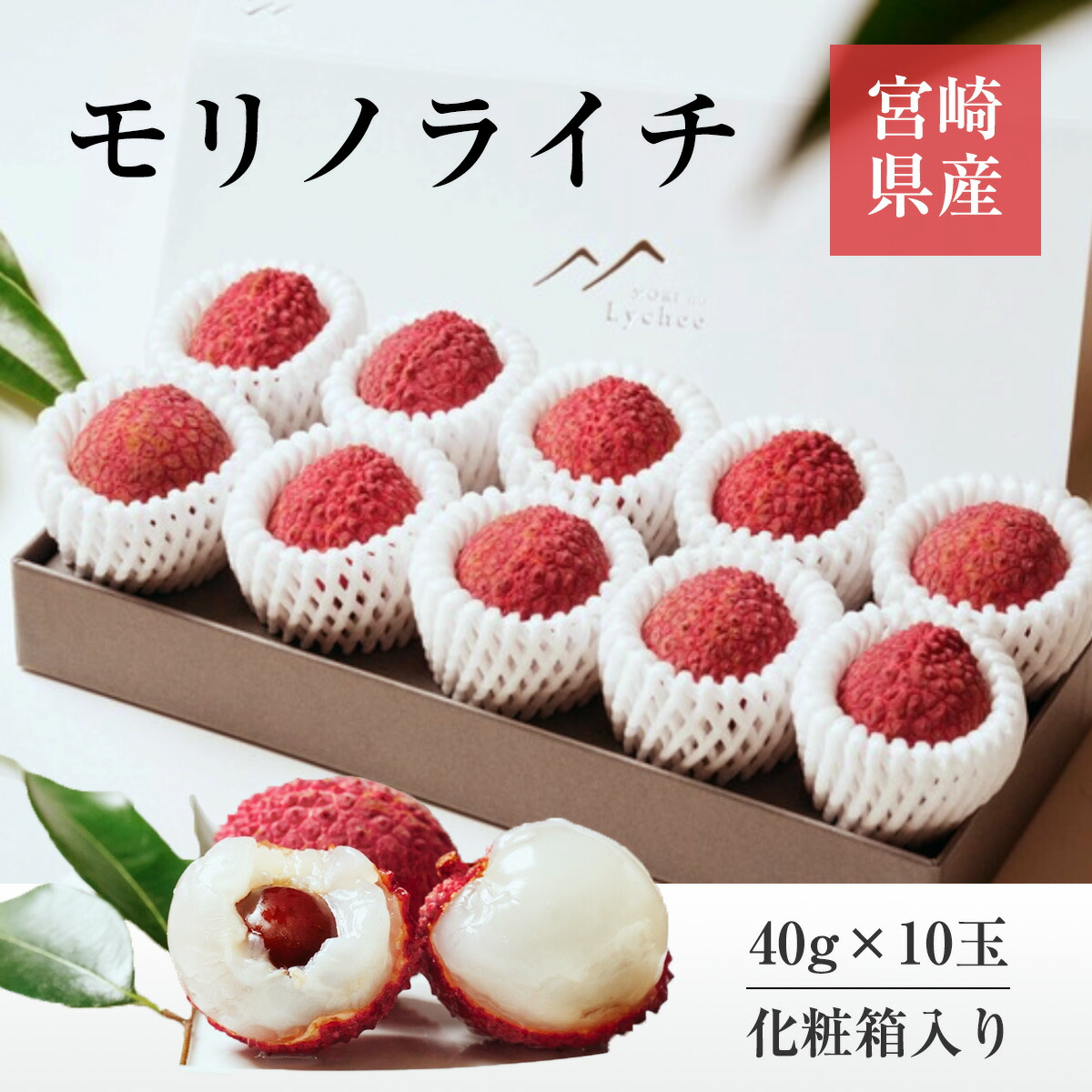 ライチ 【森緑園】 国産 生ライチ モリノライチ 400g 10玉 糖度15度 贈答用 宮崎県 《6/下旬～7/中旬の出荷》