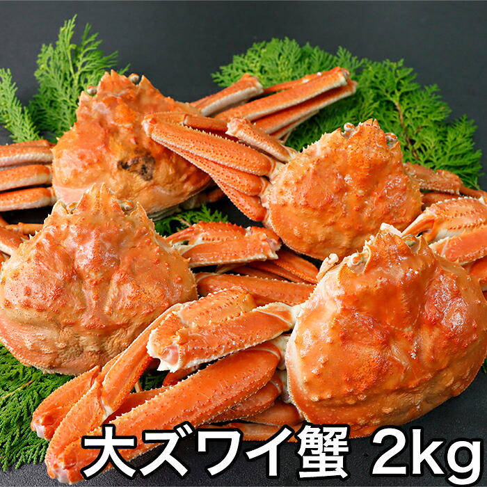 大ズワイガニ 姿 2kg（4～5杯）ボイル済み 急速冷凍 特大 ズワイガニ ギフト 蟹 カニ かに｜ごちチョク