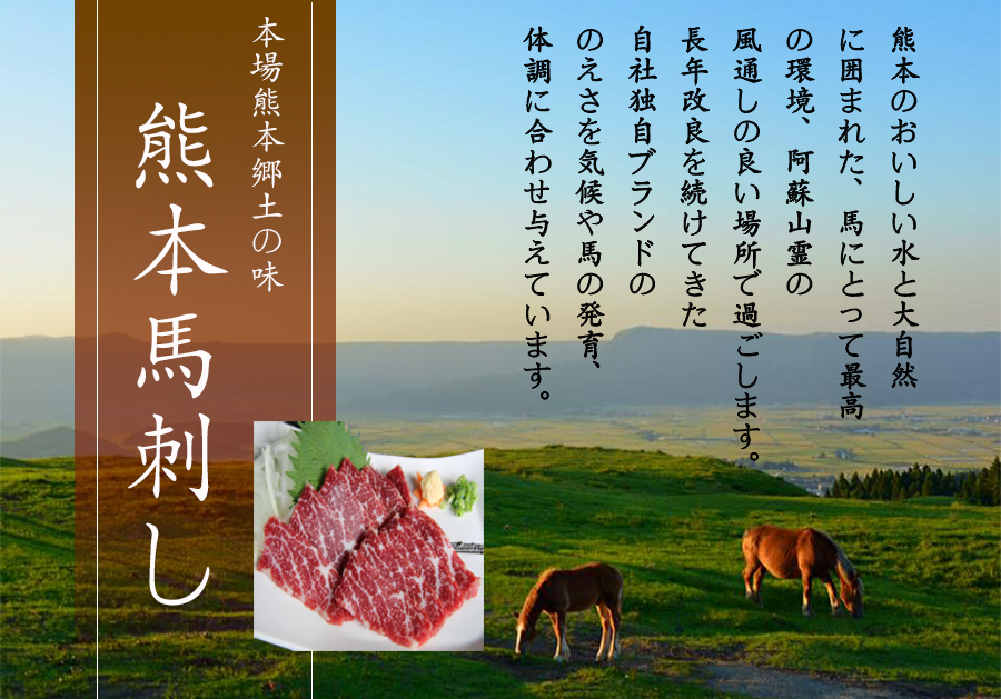 市場 熊本馬刺し 約50g 送料無料 精肉 霜降り 馬肉 刺身 馬刺し １万円以上で ユッケ たたき 肉 最安