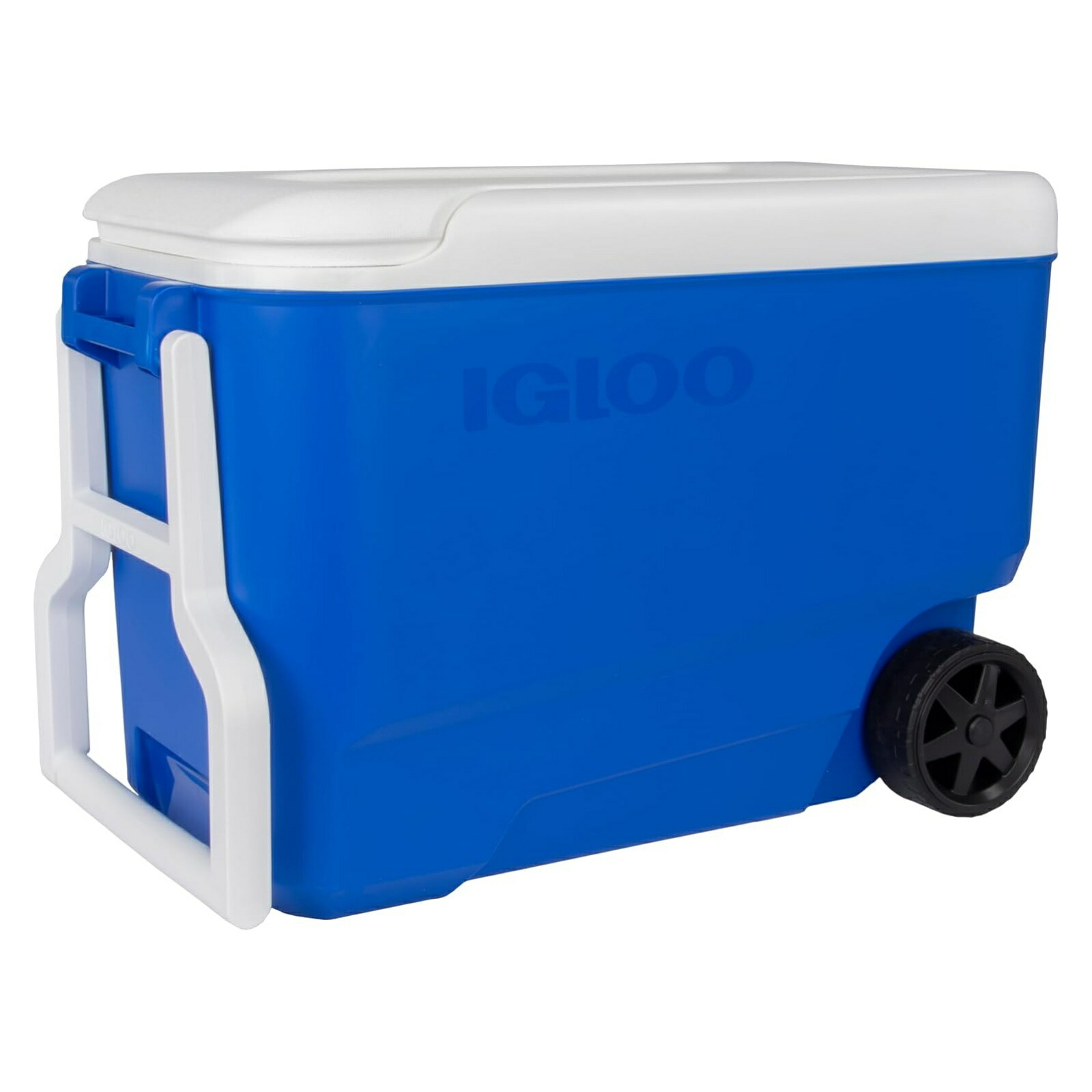 [イグルー] 中型 クーラーボックス 35L (車輪付き) WHEELIE COOL 38 ホイールクール38 キャスター付き 00034482 / ブルー｜スポーツ用品店 BlueSports