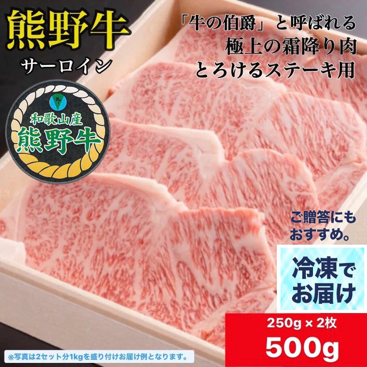 常陸牛 - 【送料込み】常陸牛 サーロイン ステーキ 2枚 セット 計500g 茨城県産 常陸牛サーロインステーキ用 500g(250g×2枚)【おいしい
