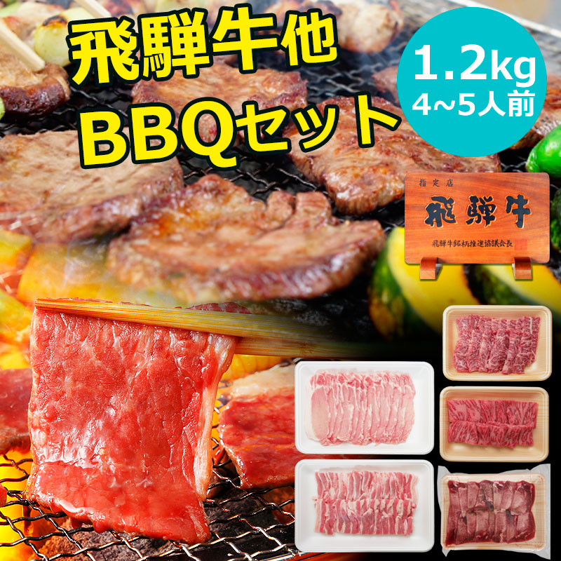 楽天市場】焼肉 肉 飛騨牛 カルビ 焼肉用 500g×3パック ギガ盛り 送料無料 計1.5kg まとめ買い 1キロ 1kg 以上 カルビ 焼肉 おうち 焼肉 おうち焼き肉 花見 BBQ バーベキュー 和牛 黒毛和牛 ブランド牛 牛肉 肉 メガ盛り テラ盛り 焼肉セット : 昭和31年創業 飛騨牛 肉 のひぐち