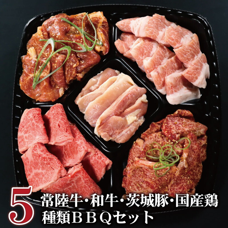 焼肉セット BBQ イイジマ バーベキュー セット レギュラー 5種 計850g 3～4人前 常陸牛 肩バラ 和牛 味付 国産 若鶏 豚 食べ比べ パーティ 自宅用 一人暮らし 茨城