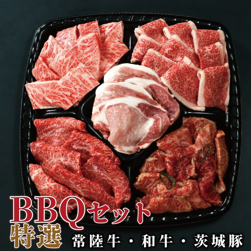 焼肉 セット BBQ イイジマ バーベキューセット 特選 3～4人前 830g 盛り合わせ 食べ比べ 常陸牛 カルビ 和牛味付 茨城豚ロース 肉 パーティ 自宅用 一人暮らし