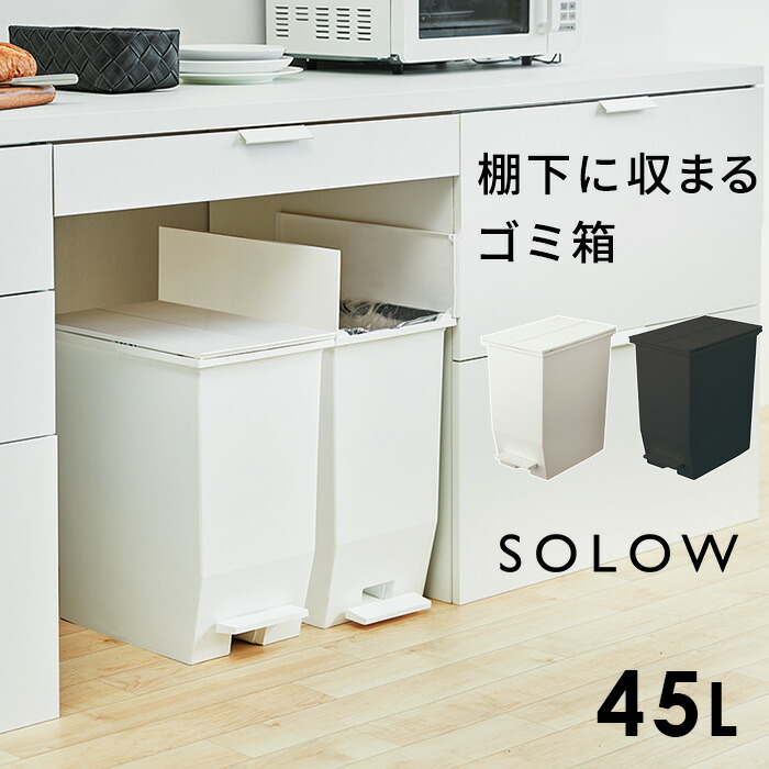 楽天市場】ダストボックス ゴミ箱 SOLOW ソロウ ペダルオープンツイン