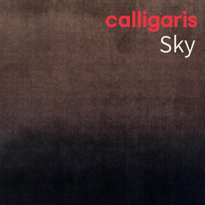 ＜ポイント１０倍＞正規代理店カリガリス SKY スカイ カーペット 絨毯 ラグマット calligaris おしゃれ 正規代理店