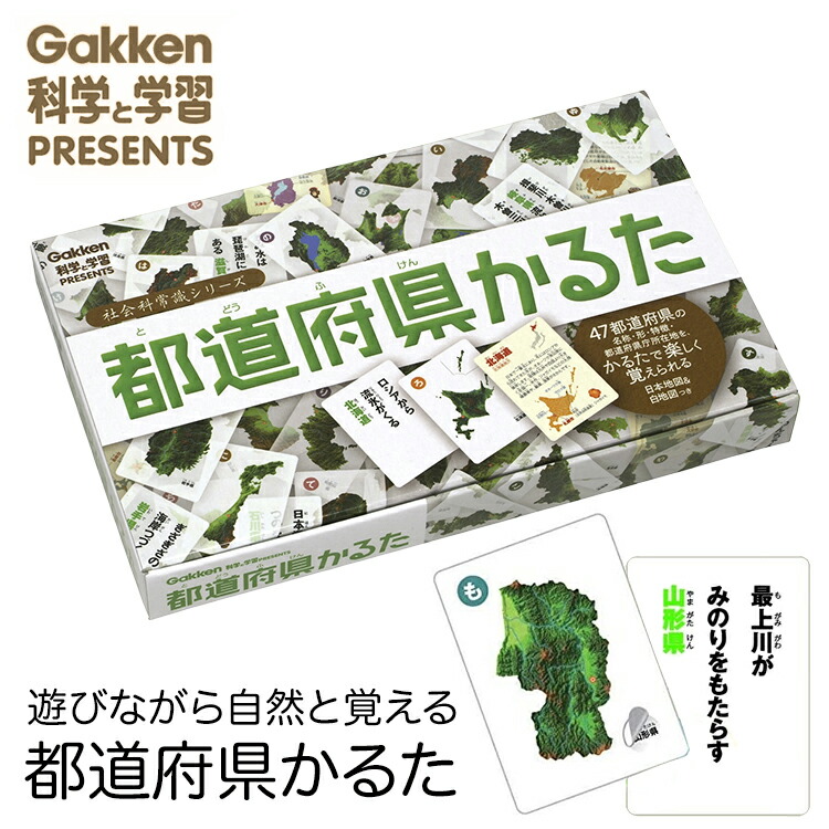 かるた せいかつかるた 知育玩具 幼児 知育 マナー スマホ 子供 キッズ おもちゃ 生活 習慣 読み上げ カードゲーム カルタ