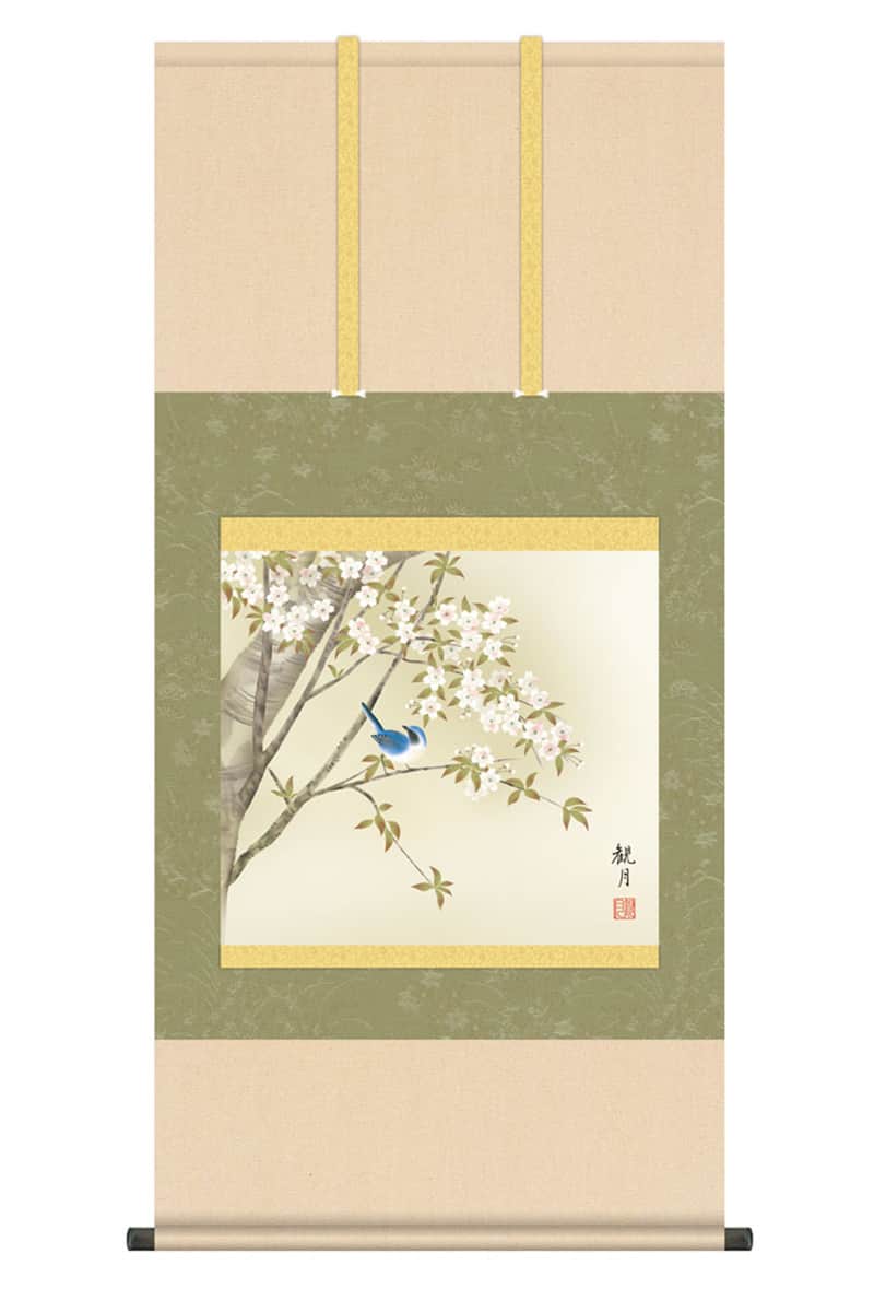 掛軸 掛け軸 花鳥画 春飾り 桜花 桜花に小鳥 洛彩緞子本表装 尺五 森山観月 桐箱 【2026年度新作】 h06-snk-kz5a7-158