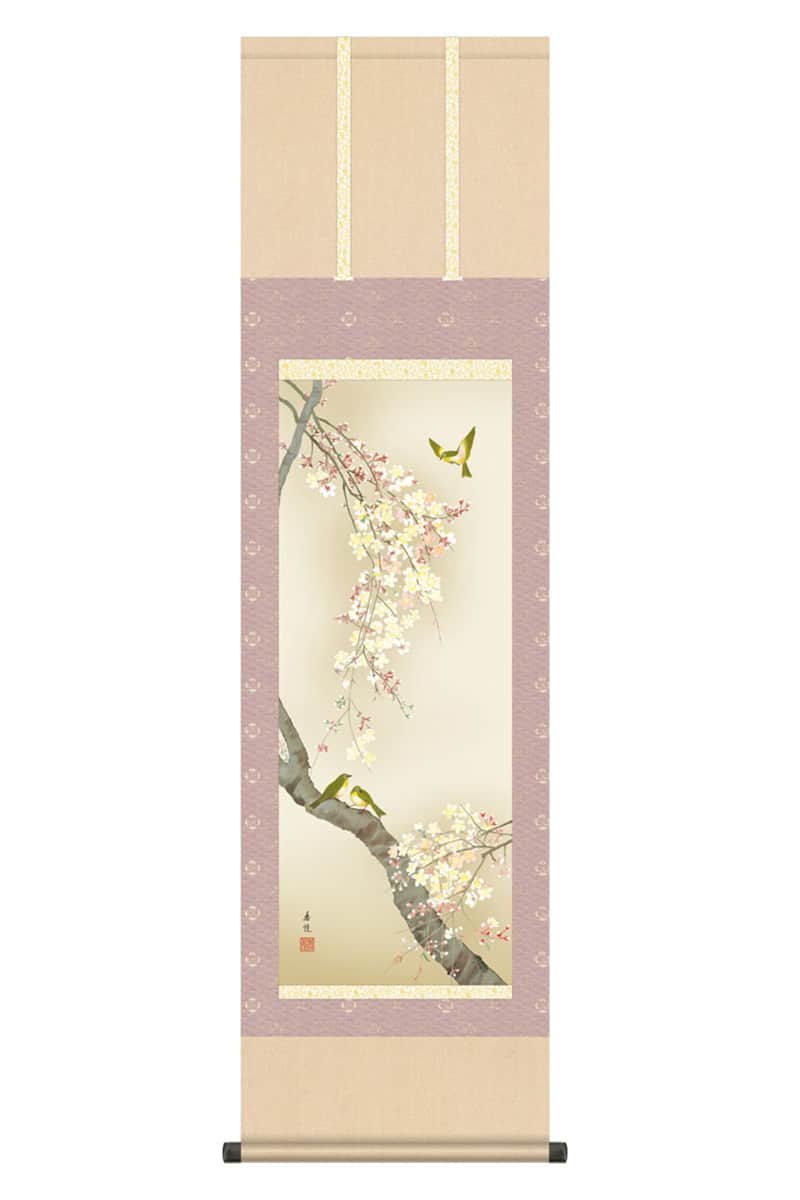 掛軸 掛け軸 花鳥画 春飾り 桜花 桜花に小鳥 洛彩緞子本表装 尺三 西尾香悦 【2026年度新作】 h06-snk-kz5ma2-078