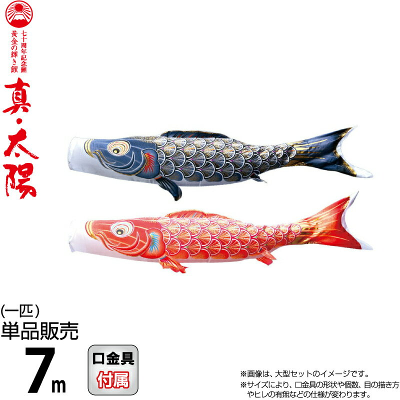 こいのぼり 徳永鯉 鯉のぼり 単品 7m 真・太陽 黄金の輝き鯉 撥水加工 ポリエステルサテン生地 【2026年度新作】 003-802