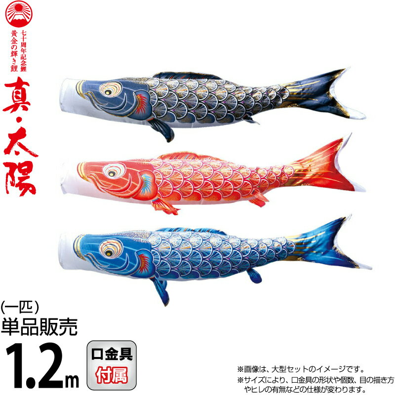 こいのぼり 徳永鯉 鯉のぼり 単品 1.2m 真・太陽 黄金の輝き鯉 撥水加工 ポリエステルサテン生地 【2026年度新作】 003-810-s