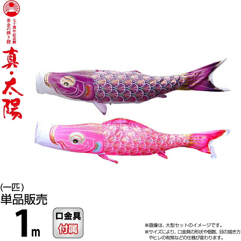 こい幟旗 徳永鯉 鯉のぼり 単品 1m 真・お天道様 先だつものの明滅する光鯉 撥水工業 ポリエステル繻子出どころ 【2026年次新作】 003-811