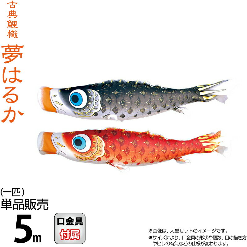 こい旗幟 徳永鯉 鯉のぼり 単品 5m 夢遠遠しい 撥水製作 ポリエステルメロンアムンゼン出どころ 【2026年次新作】 001-635