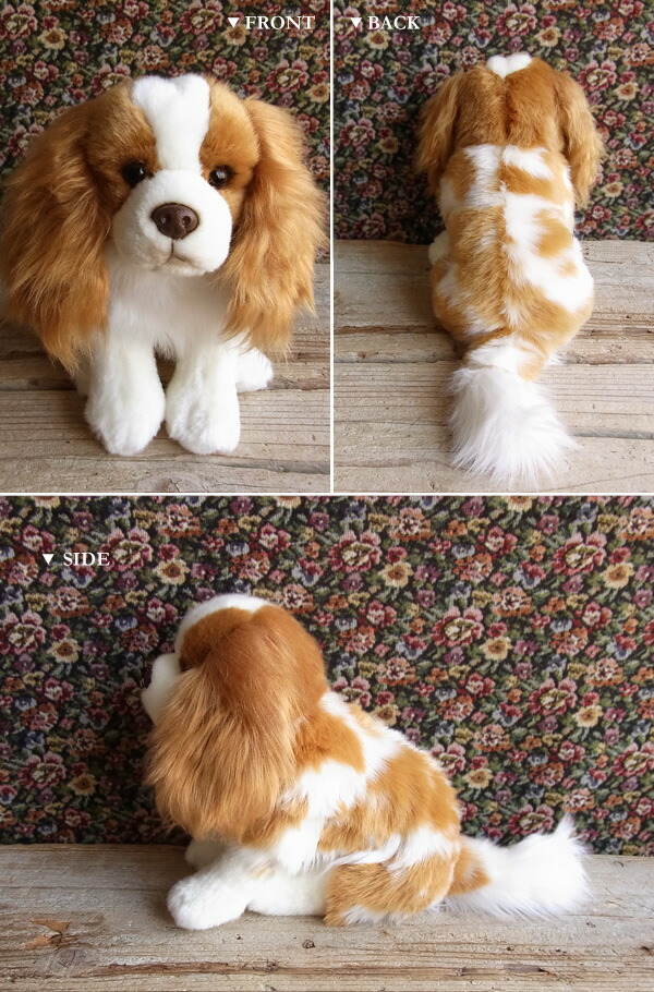 cavalier king charles stuffed toy