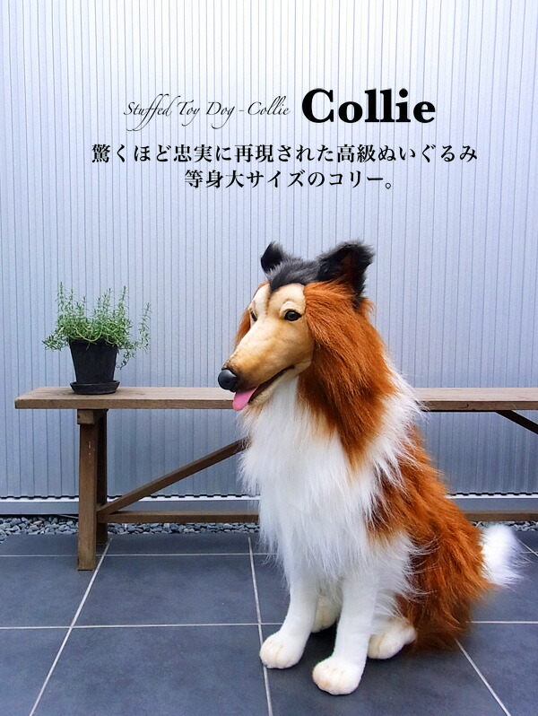 レア　シェルティ　ぬいぐるみ　シェットランドシープドッグ シェルティー ぬいぐるみ リアル 犬 シェットランド