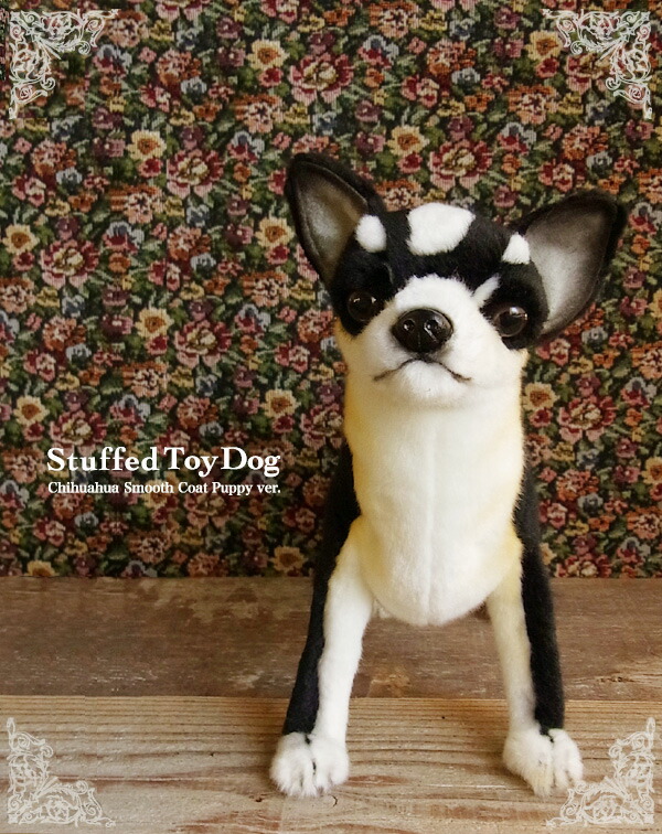 ケーセン　Kosen チワワ　ぬいぐるみ 楽天市場】ケーセン ぬいぐるみ kosen 社 チワワ 27cm CHIHUAHUA