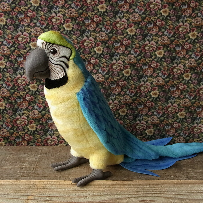 楽天市場】ケーセン Koesen ぬいぐるみ ルリコンゴウインコ BLUE-AND