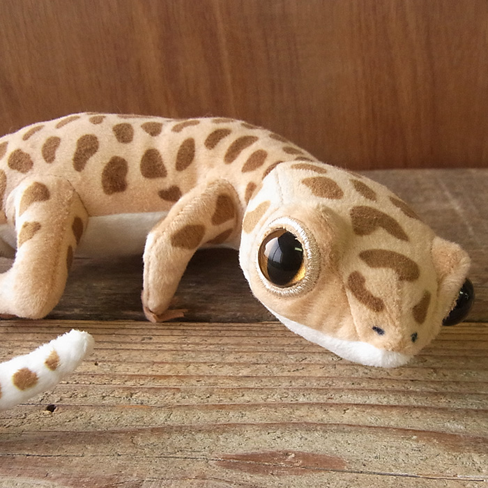 楽天市場 Bob Up Stand ペンスタンドleopard Gecko レオパードゲッコーヒョウモントカゲモドキ小物入れ タマゴ爬虫類 ヤモリ Irodori