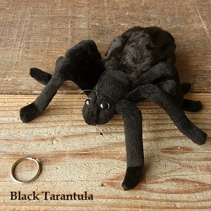 楽天市場 ハンサ Hansa タランチュラ21 ブラック ぬいぐるみ 本物 そっくり リアル ペット メモリアル 昆虫 ニニアンドキノ