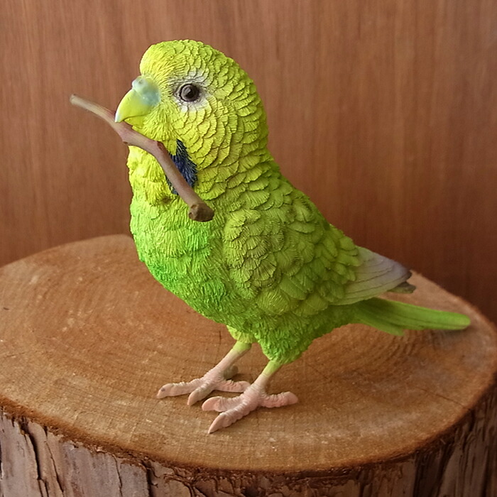 楽天市場 Magnet クリップホルダー セキセイインコ グリーン 鳥 インコ リアル 本物 そっくり ペット ニニアンドキノ