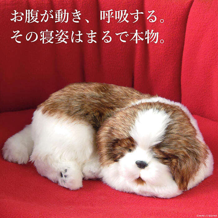 楽天市場】＼平日9時までの注文で即日発送／【HANSA シーズー30