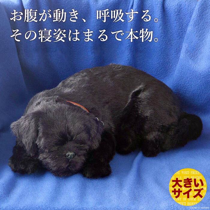 楽天市場】眠るように呼吸する パーフェクトペット (小サイズ