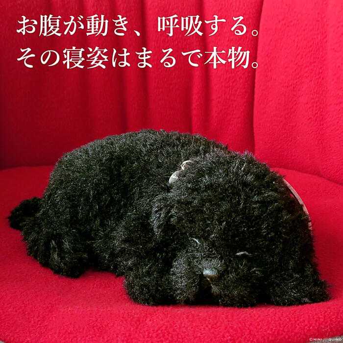 楽天市場】眠るように呼吸する パーフェクトペット (小サイズ) トイ