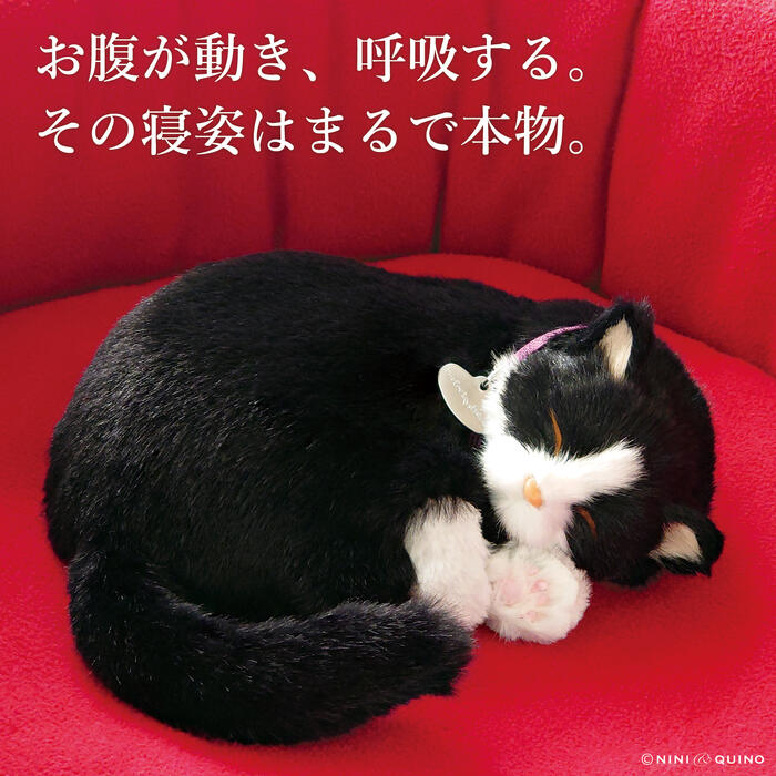楽天市場】でぶ猫 こてつ Sサイズ 日本製【でぶねこ／デブ猫