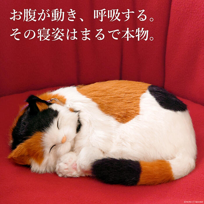 眠るように呼吸作用する 完全無欠愛玩動物 (小大きさ) 三毛猫 (赤銅色) ぬいぐるみ 即物的 本物そっくり 猫 癒し 愛玩動物天使の都市 御前上等 差し上げ物 差し上げ物 差し上げ物 室内装飾 褒めたたえる用 ニニアンドキノ