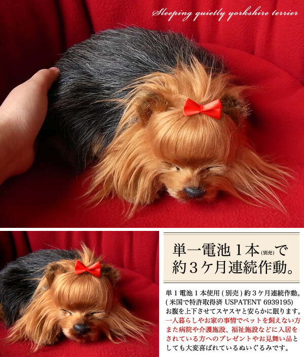 ぬいぐるみ 犬 いぬ イヌ 本日の目玉 そっくり リアル 本物