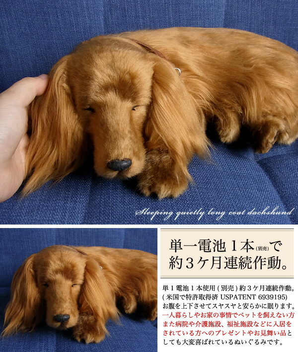 スヤスヤ息をしているようにお腹が動くぬいぐるみ パーフェクトペット 大 ぬいぐるみ ダックス ロング レッド チワワ 本物 そっくり 特大 眠る リアル ペット メモリアル 犬 イヌ いぬ ニニアンドキノ誕生日 お祝い お見舞い ギフト プレゼント スヤスヤ息をしているようにお腹が動くぬいぐるみ パーフェクトペット 大 ぬいぐるみ ダックス ロング レッド チワワ 本物 そっくり 特大 眠る リアル ペット メモリアル 犬 イヌ いぬ ニニアンドキノ誕生日 お祝い お見舞い ギフト プレゼント